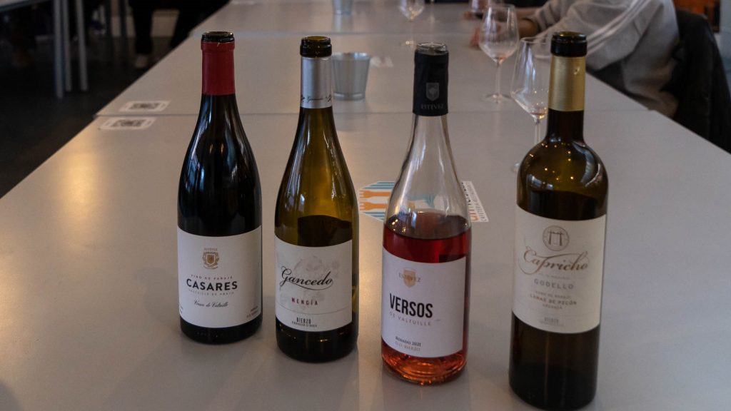 Celebrada con éxito la cata de vinos del Bierzo en el Campus de Ponferrada de la ULE